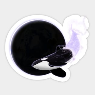 Orca in Space Sticker